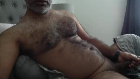 wildhungry online show from October 2025 09:56:01 PM