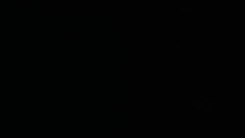 Snapshot of wildkittytrans chatting on February 2025 07:49:02 PM CHRISTINE online show from February 2025 07:49:02 PM