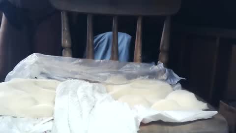 wildman6 online show from January 2025 08:34:02 PM