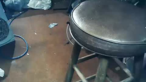 wildman6 online show from October 2025 05:44:02 PM