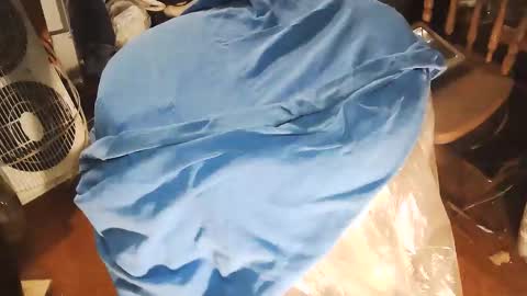 wildman6 online show from January 2026 08:43:01 PM