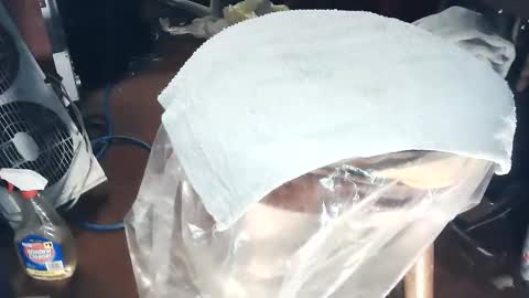 wildman6 online show from March 2026 08:17:01 PM