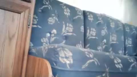 Snapshot of wildman6 chatting on June 2026 12:41:02 PM wildman6 online show from June 2026 12:41:02 PM