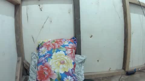 wildpoohkhaye online show from April 2026 10:35:02 AM