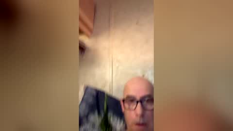 will19672025 online show from April 2026 09:57:01 AM