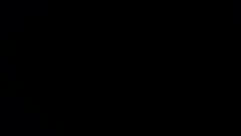 williewants online show from November 2025 10:29:01 AM