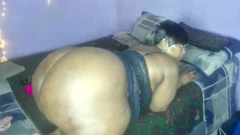 wilmaassylum online show from October 2025 06:14:02 AM