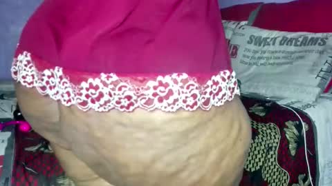 wilmaassylum online show from March 2026 07:34:01 AM