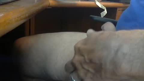 Wineman88886 online show from March 2026 05:05:01 PM