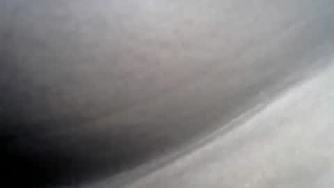 Snapshot of wisdom7_ chatting on December 2024 06:12:02 AM wisdom7_ online show from December 2024 06:12:02 AM