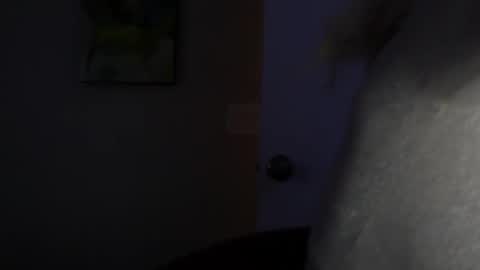 Snapshot of wishgoddes chatting on November 2025 08:52:02 PM WishGoddes online show from November 2025 08:52:02 PM