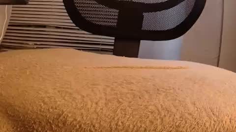 Snapshot of withbothhandsplease chatting on September 2025 08:30:01 AM Mater online show from September 2025 08:30:01 AM