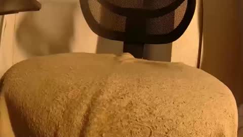 Mater online show from February 2026 01:49:02 PM