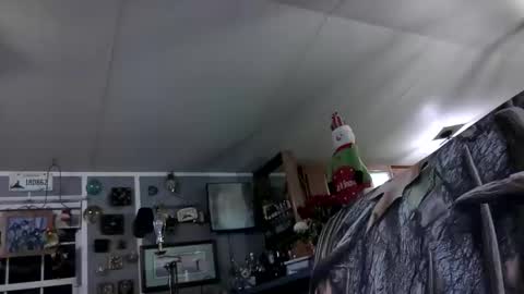 wldlife online show from November 2025 02:44:02 AM