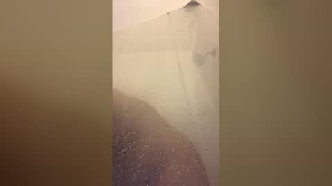 wolcott2026 online show from March 2026 11:56:02 PM