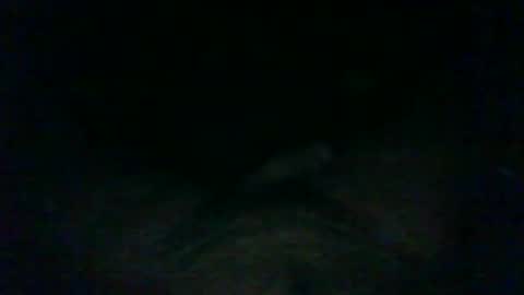 Wolf online show from January 2025 05:30:02 AM