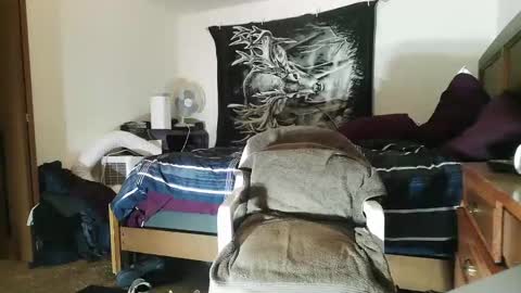 wolfman79 online show from January 2025 01:33:02 PM