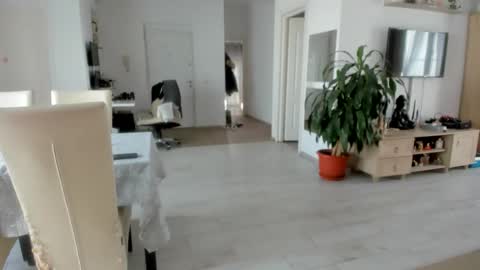 Wolfie online show from November 2025 08:47:01 AM