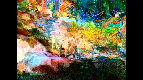 Wowokthankyou online show from September 2025 07:10:01 AM