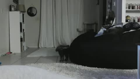 Snapshot of wrenleigh chatting on January 2025 05:20:01 AM Crystal Lake online show from January 2025 05:20:01 AM