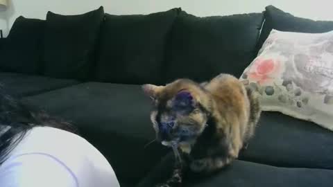 Snapshot of wrenleigh chatting on October 2025 06:35:02 AM Crystal Lake online show from October 2025 06:35:02 AM