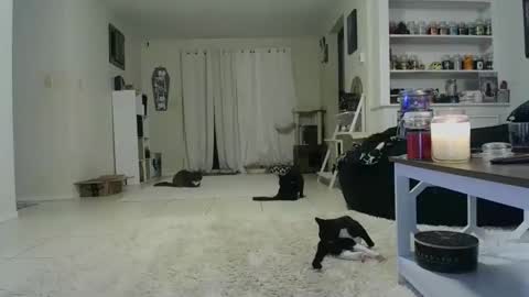 Snapshot of wrenleigh chatting on October 2025 07:42:02 AM Crystal Lake online show from October 2025 07:42:02 AM