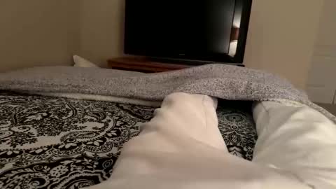 Wsteel66 online show from February 2026 03:48:02 AM