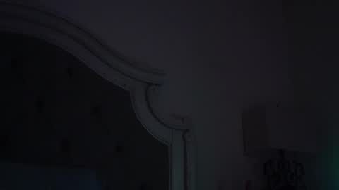 Snapshot of x_dreamgirl_x chatting on December 2024 12:55:02 AM Mariah online show from December 2024 12:55:02 AM