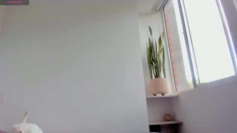 Xavier online show from January 2026 08:34:01 PM