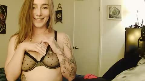 xAlicex online show from September 2025 03:18:02 AM