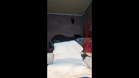 Xelenaxcbbs online show from April 2026 11:46:02 PM