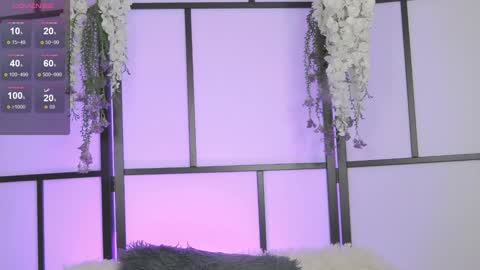 xenomy online show from February 2025 05:53:01 AM