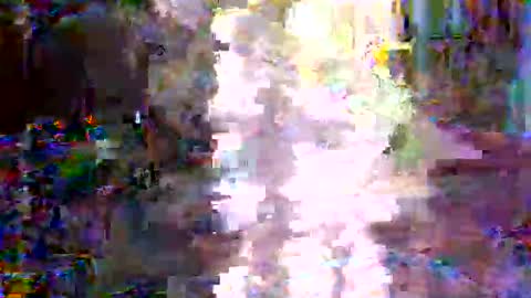 xixo6969 online show from February 2026 02:53:01 AM