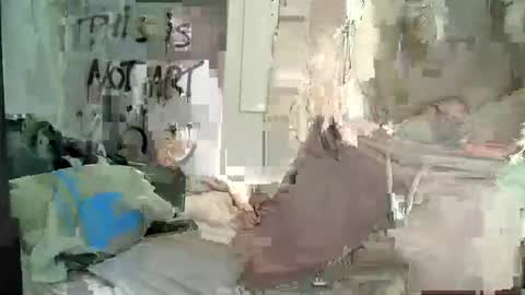 Wendy online show from December 2024 12:24:01 PM