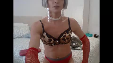 Wendy online show from January 2026 11:15:02 AM