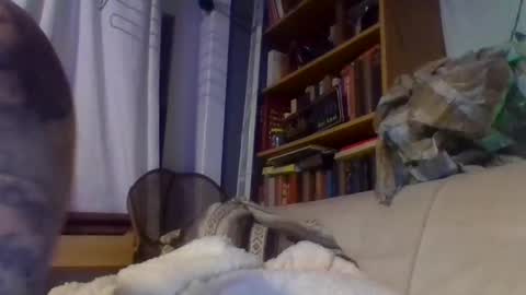 John online show from December 2024 11:16:02 PM