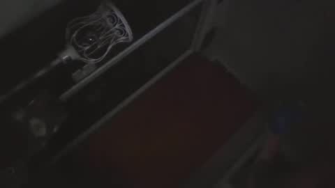 xman00912 online show from January 2026 12:42:02 PM