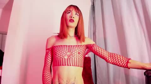 xmistresspervet online show from December 2025 01:06:01 PM