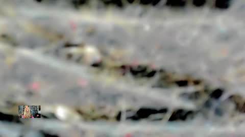 Femboy Exotic online show from February 2025 04:53:02 AM