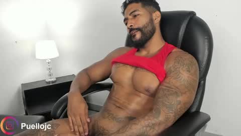 Stipp3r online show from June 2026 01:06:02 PM
