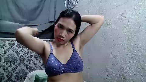 Windy online show from January 2025 04:32:01 AM