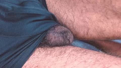 Prince online show from January 2026 01:13:02 PM