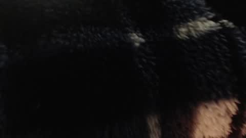 Snapshot of xxxking89 chatting on December 2024 05:36:02 PM xxxking89 online show from December 2024 05:36:02 PM