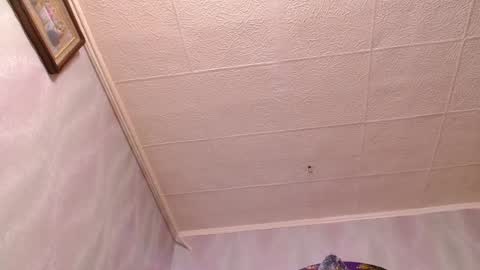 isa and gonzo online show from December 2024 11:54:02 AM