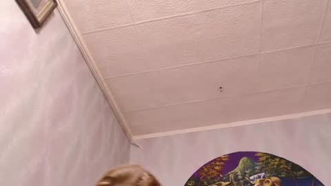 isa and gonzo online show from March 2025 12:01:02 PM