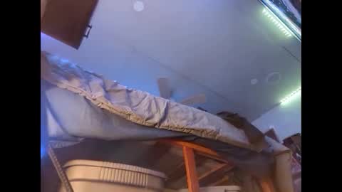 Xzbib online show from December 2024 08:43:01 PM