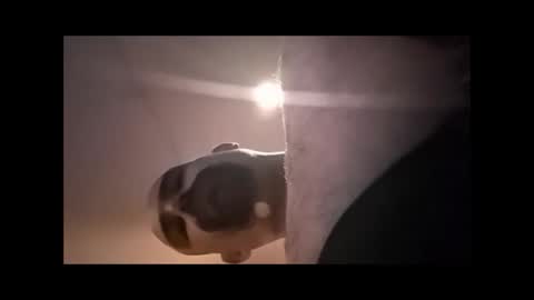 Xzbib online show from April 2026 04:48:01 PM