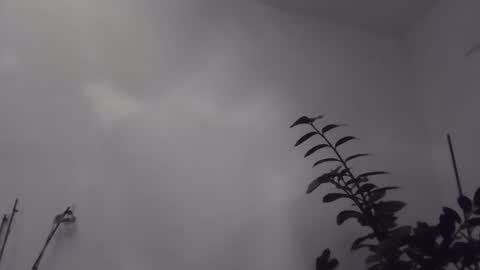 yakijoe online show from November 2025 10:43:02 PM