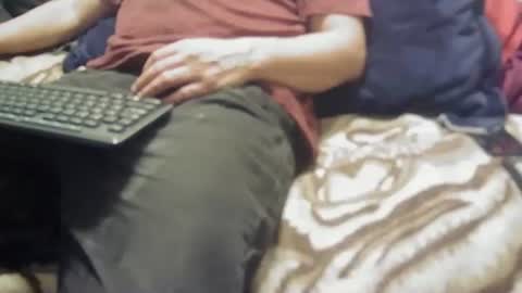 yangolox3 online show from February 2026 01:11:01 AM