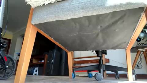 yannisv online show from January 2026 12:51:02 PM